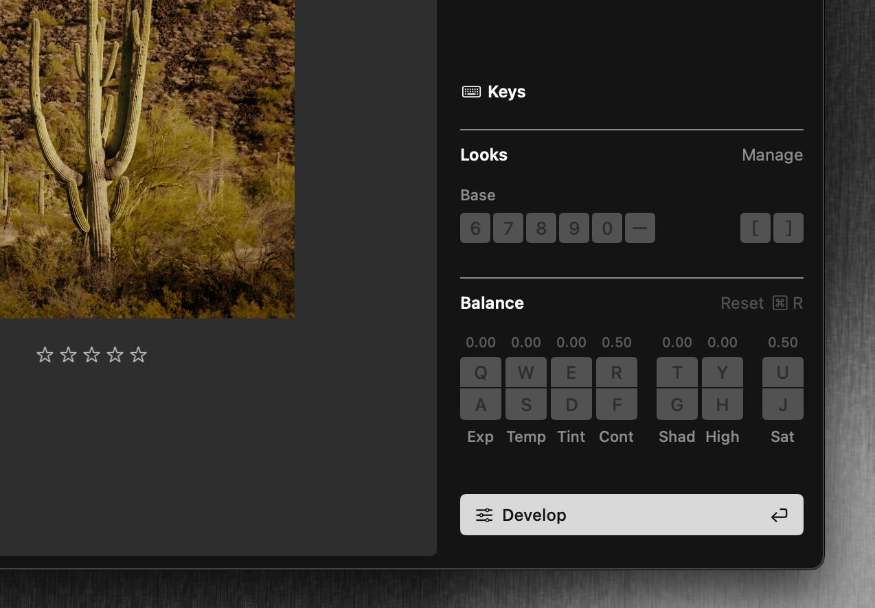 Close-up view of Balance and Look tools (chiclets) showing exposure, contrast, and other adjustment controls