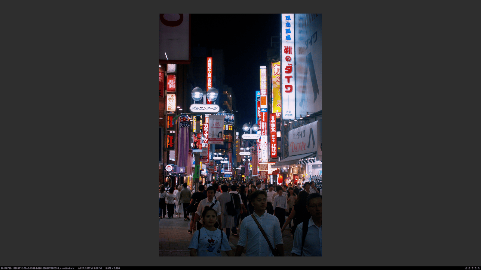 Lightbox view showing a full-screen image with no UI and metadata overlay